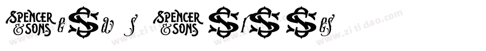 Keya s Turtles字体转换